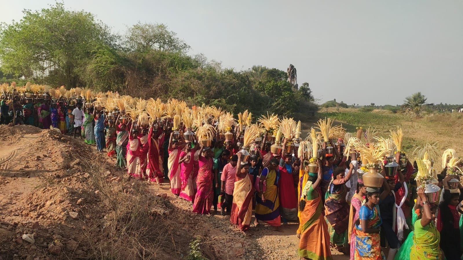 மேற்பனைக்காடு வீரமாகாளியம்மன் கோயில் பாளையெடுப்புத் திருவிழா