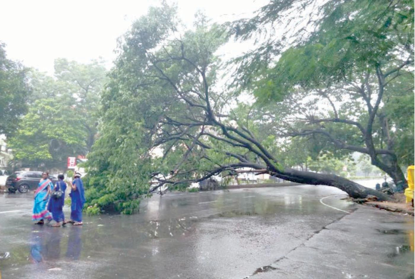  நிவர்  புயல் இன்று(நவ.25) மாலை புதுச்சேரி காரைக்கால் இடையில் கரையை கடக்கும்: 8 மாவட்டங்களில் மிக கனமழை பெய்யும்