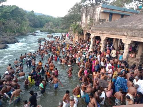 தை அமாவாசை: பாபநாசம் தாமிரவருணியில் நூற்றுக்கணக்கான பக்தர்கள் புனித நீராடல் 