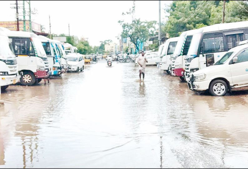 நாகை, மயிலாடுதுறை மாவட்டத்தில் தொடர் மழை:  மரங்கள் விழுந்ததில்  வீடுகள் மின்கம்பங்கள் சேதம்