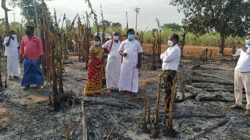 கந்தர்வகோட்டை அருகே கரும்பு, வாழைப்பயிர்கள்  தீப்பிடித்து  சேதம்:இழப்பீடு வழங்க எம்.சின்னத்துரை எம்எல்ஏ வலியுறுத்தல்.