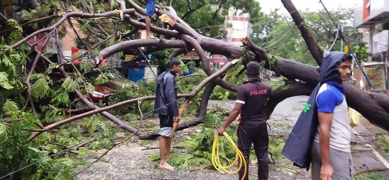 சென்னையில் பெய்து வரும் கனமழை காரணமாக 38 மரங்கள் முறிந்து விழுந்துள்ளன.