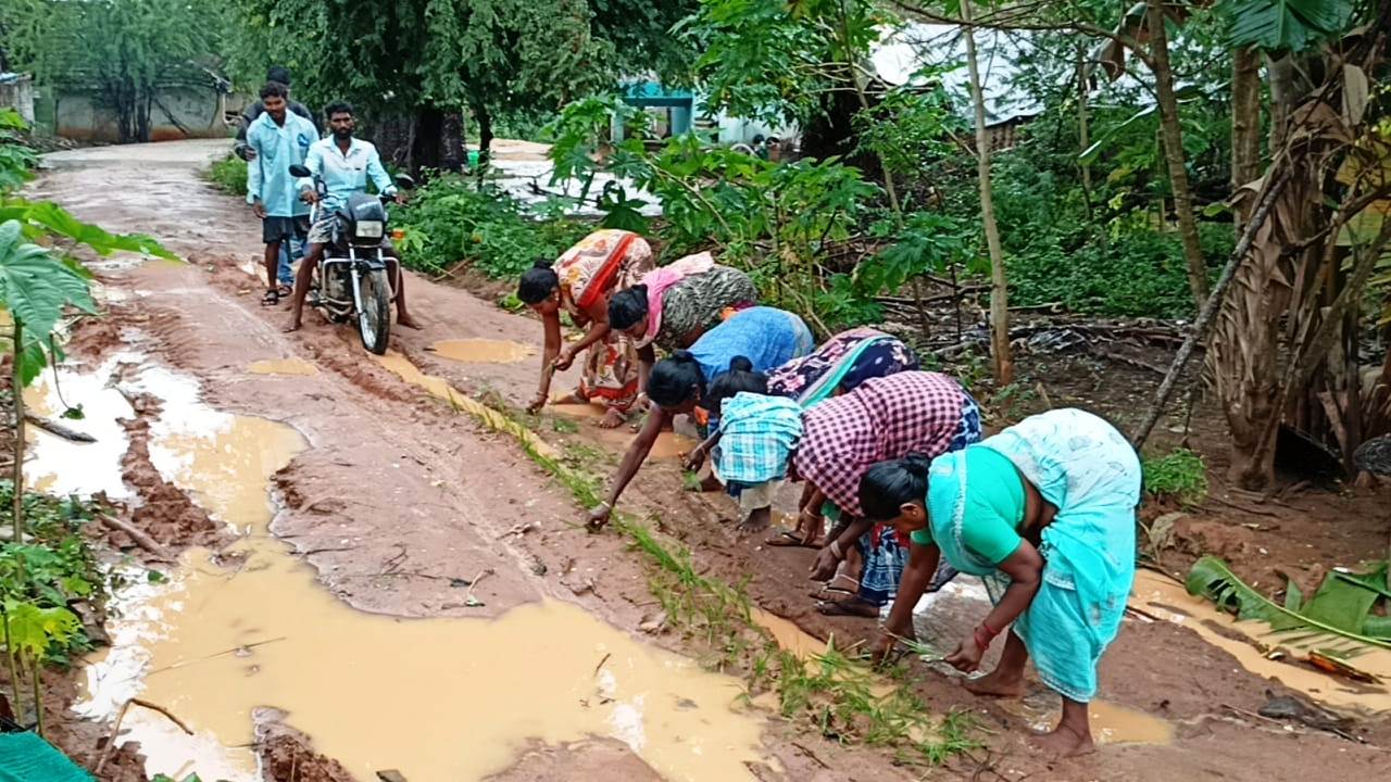 கறம்பக்குடி அருகே சேதமடைந்த சாலையில் நாற்று நடவு செய்து போராட்டம்.