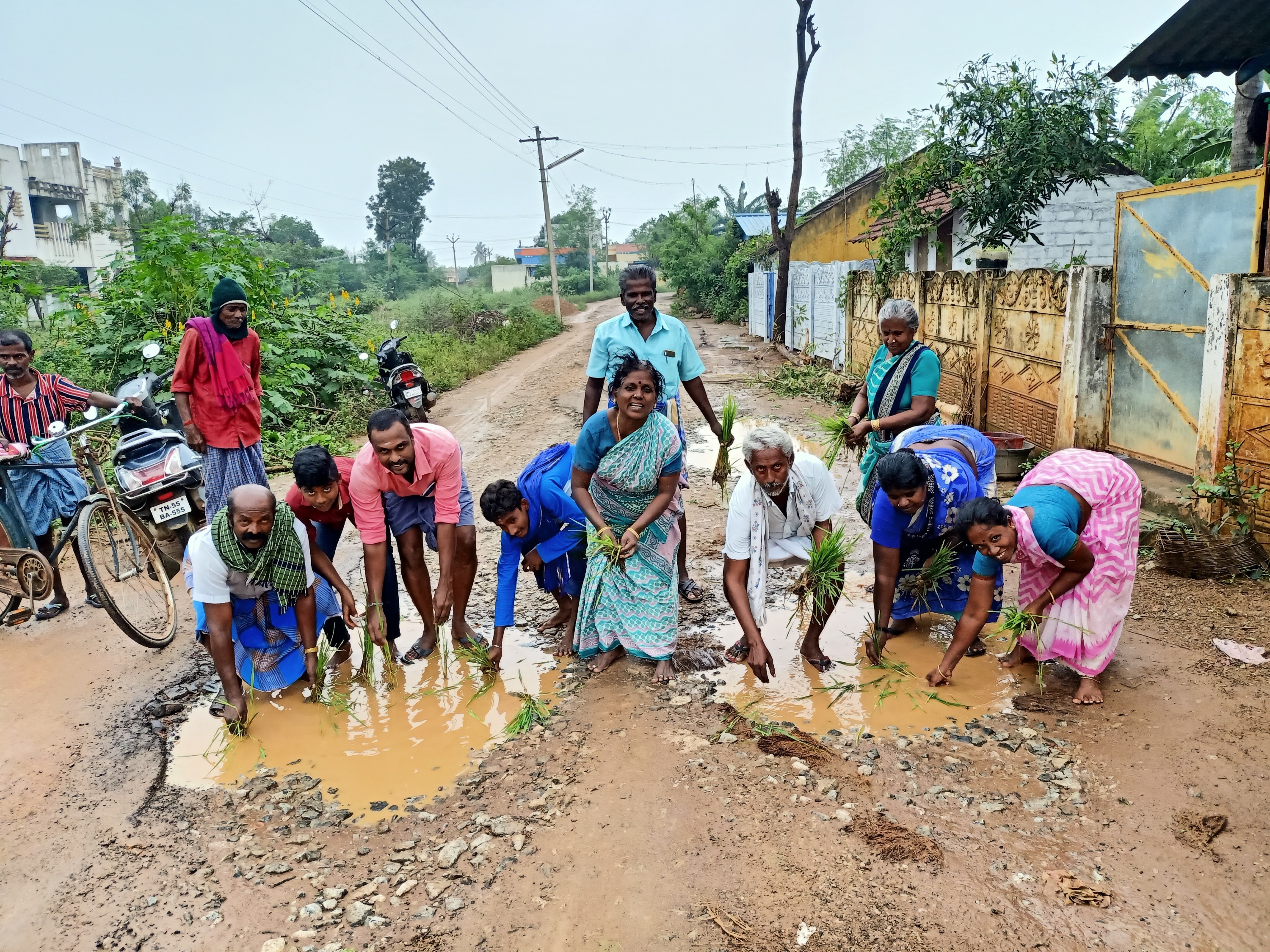 ஆலங்குடியில் சாலைப்பள்ளத்தில் நாற்று நட்டு போராட்டம்.