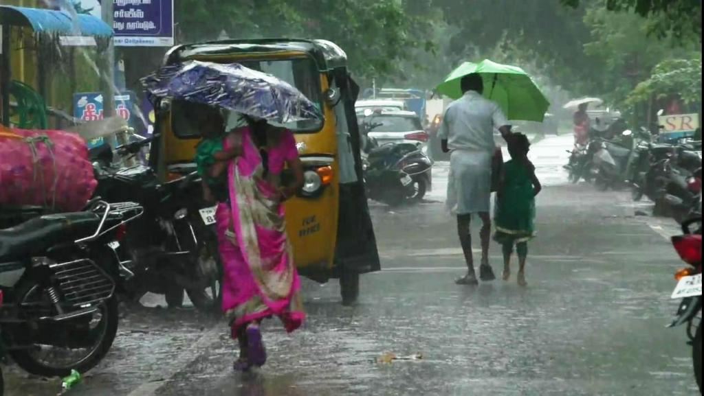 புதுக்கோட்டை மாவட்டத்தில் பரவலாக பெய்த மழையால் விவசாயிகள் மகிழ்ச்சி